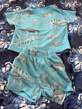 Toddler Blue Dinosaur Shorts & Tee Set